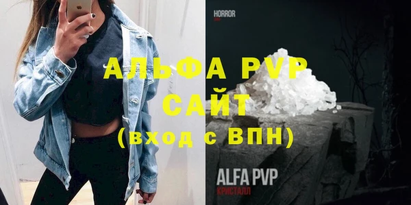 СК Алексин