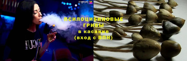 СК Алексин