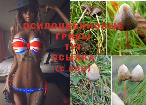 тгк Алексеевка
