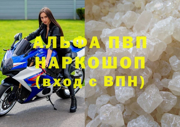 СК Алексин