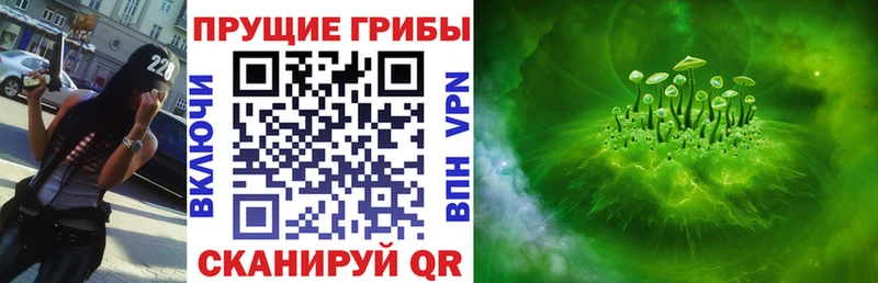 Галлюциногенные грибы прущие грибы  закладки  Стародуб 